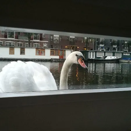 Båthotell Luxurious 110m² 3br Houseboat In Centre! *