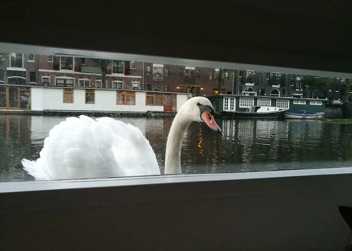 ספינת מלון Luxurious 110m² 3br Houseboat In Centre! *